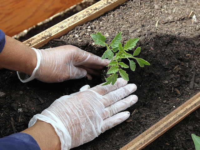 6 ways to do your part on Earth Day