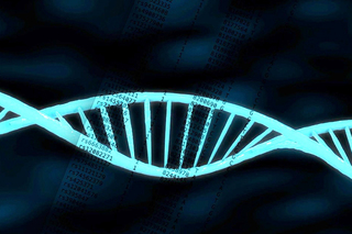 DNA tests can raise medical questions